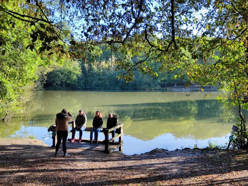 Séance de sophrologie de groupe dans la forêt